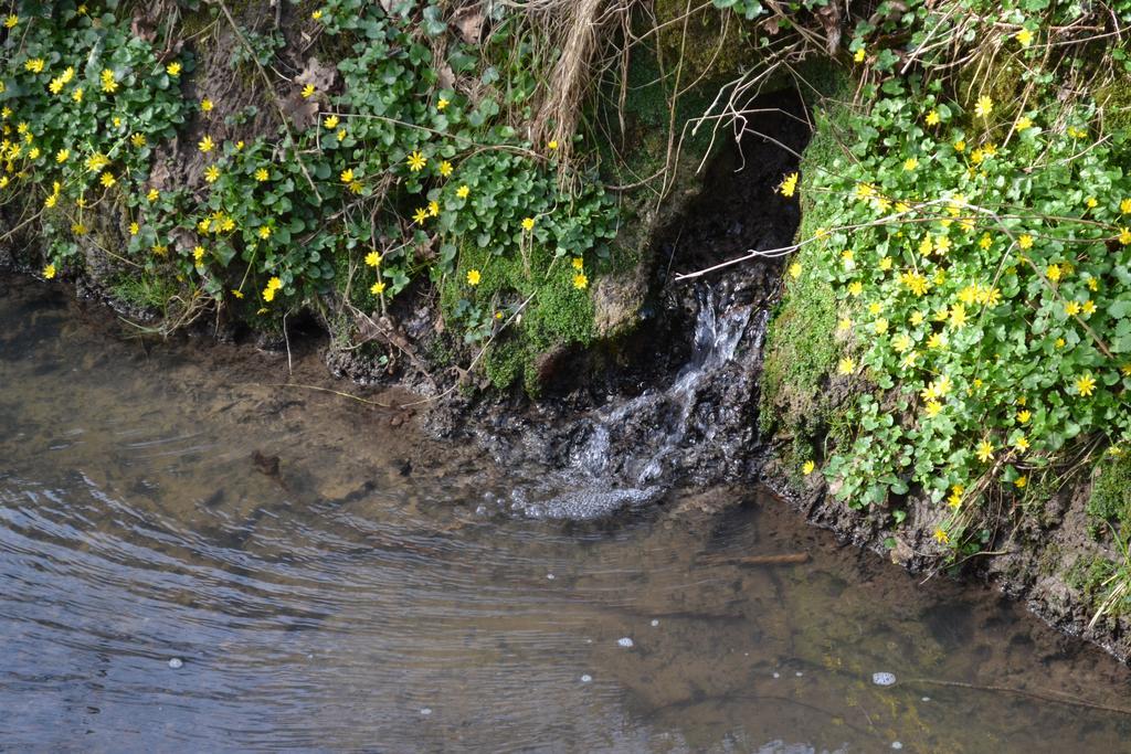 Le Domaine Des Anges, Ecolodge Le Controis-en-Sologne Bagian luar foto